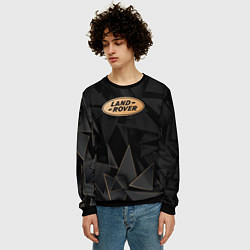 Свитшот мужской Land Rover golden poly, цвет: 3D-черный — фото 2