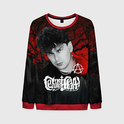 Свитшот мужской Сектор газа красный лес, цвет: 3D-красный
