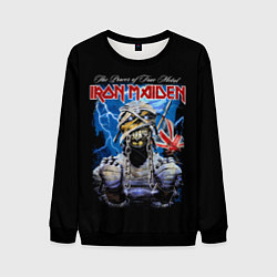 Свитшот мужской Powerslave Iron Maiden - мумия, цвет: 3D-черный