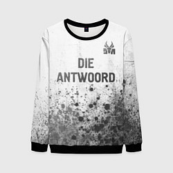 Мужской свитшот Die Antwoord - white gradient посередине