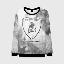 Мужской свитшот Lamborghini - white gradient