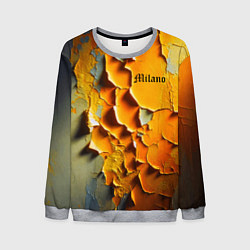 Свитшот мужской Peeling plaster - Milano, цвет: 3D-меланж