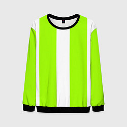 Свитшот мужской Color light green white stripes, цвет: 3D-черный