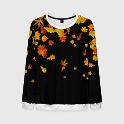 Мужской свитшот Осенние листья на черном