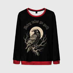Свитшот мужской Ворона сидит на ветке на фоне полной луны, цвет: 3D-красный