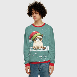 Свитшот мужской Недовольный новогодний котик, цвет: 3D-красный — фото 2