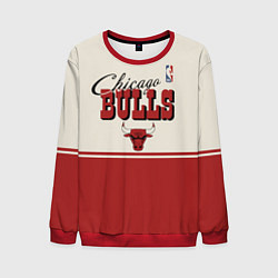 Свитшот мужской NBA Chicago Bulls vintage, цвет: 3D-красный