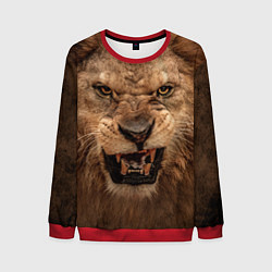 Свитшот мужской Взгляд льва, цвет: 3D-красный