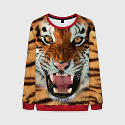 Свитшот мужской Взгляд тигра, цвет: 3D-красный