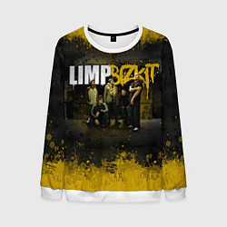 Свитшот мужской Limp Bizkit: Gold Street, цвет: 3D-белый