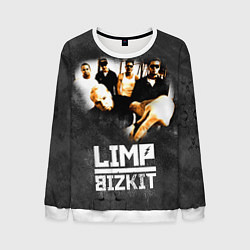 Свитшот мужской Limp Bizkit: Rock in to you, цвет: 3D-белый