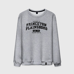 Свитшот хлопковый мужской Princeton Plainsboro, цвет: меланж