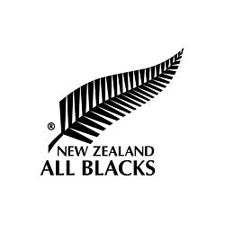 Свитшот хлопковый мужской New Zeland: All blacks, цвет: белый — фото 2