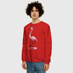 Свитшот хлопковый мужской Гордый фламинго, цвет: красный — фото 2