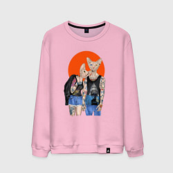 Свитшот хлопковый мужской Любовь сфинксов, цвет: светло-розовый