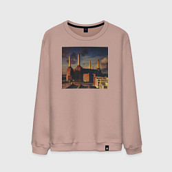 Свитшот хлопковый мужской Pink Floyd: Animals, цвет: пыльно-розовый