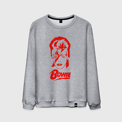 Свитшот хлопковый мужской Дэвид Боуи, цвет: меланж