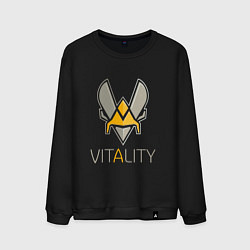 Свитшот хлопковый мужской VITALITY Team: Esports, цвет: черный