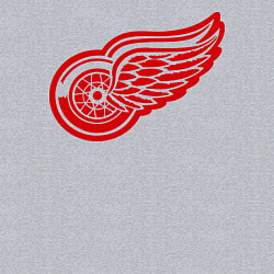 Свитшот хлопковый мужской Detroit Red Wings: Pavel Datsyuk, цвет: меланж — фото 2