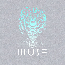 Свитшот хлопковый мужской Muse, цвет: меланж — фото 2