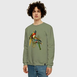 Свитшот хлопковый мужской Тропические попугаи, цвет: авокадо — фото 2