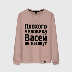 Свитшот хлопковый мужской Плохой Вася, цвет: пыльно-розовый