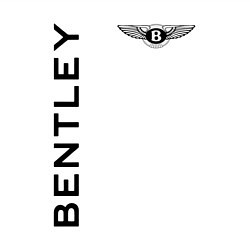 Свитшот хлопковый мужской Bentley Style, цвет: белый — фото 2
