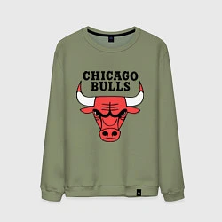 Свитшот хлопковый мужской Chicago Bulls, цвет: авокадо
