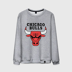 Свитшот хлопковый мужской Chicago Bulls, цвет: меланж