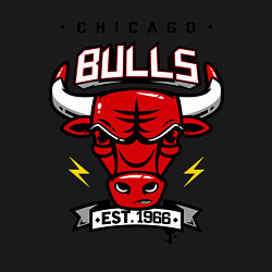 Свитшот хлопковый мужской Chicago Bulls est. 1966, цвет: черный — фото 2