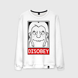 Мужской свитшот Disenchantment Disobey