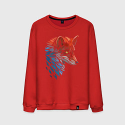 Свитшот хлопковый мужской Пестрая лисица, цвет: красный