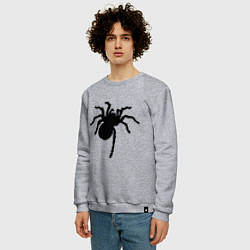 Свитшот хлопковый мужской Черный паук цвета меланж — фото 2