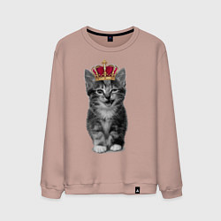 Свитшот хлопковый мужской Meow kitten, цвет: пыльно-розовый