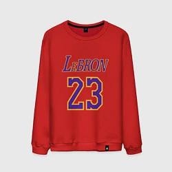 Свитшот хлопковый мужской LeBron 23, цвет: красный