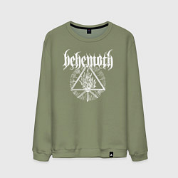 Свитшот хлопковый мужской Behemoth, цвет: авокадо