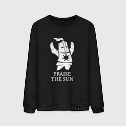 Свитшот хлопковый мужской Praise the Sun, цвет: черный