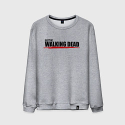 Свитшот хлопковый мужской Крылья, цвет: меланж