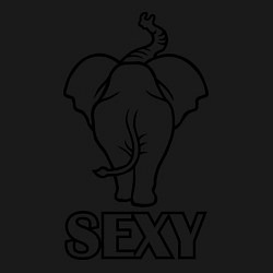 Свитшот хлопковый мужской Sexy elephant, цвет: черный — фото 2