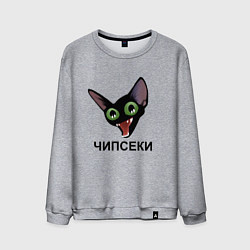 Свитшот хлопковый мужской Чипсеки: кот-мем, цвет: меланж