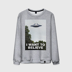 Свитшот хлопковый мужской I WANT TO BELIEVE, цвет: меланж