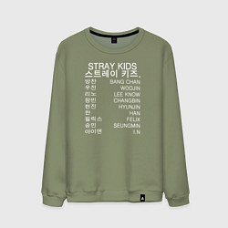 Свитшот хлопковый мужской Stray Kids, цвет: авокадо