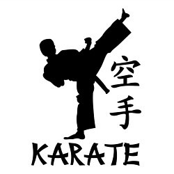 Свитшот хлопковый мужской Karate craftsmanship, цвет: белый — фото 2