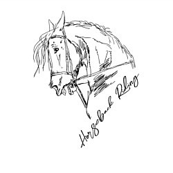 Свитшот хлопковый мужской Horse, цвет: белый — фото 2