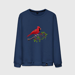 Свитшот хлопковый мужской Красный кардинал, цвет: тёмно-синий