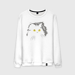 Свитшот хлопковый мужской Грозовой, кошак пушистый, цвет: белый