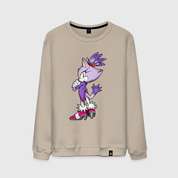 Свитшот хлопковый мужской SONIC Кошка Блейз, цвет: миндальный