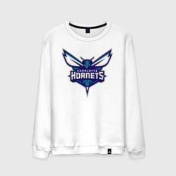 Мужской свитшот Charlotte Hornets 1