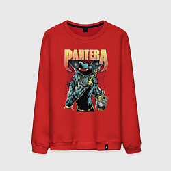 Свитшот хлопковый мужской Pantera, цвет: красный
