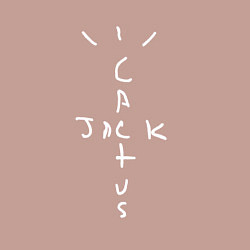 Свитшот хлопковый мужской CACTUS JACK, цвет: пыльно-розовый — фото 2